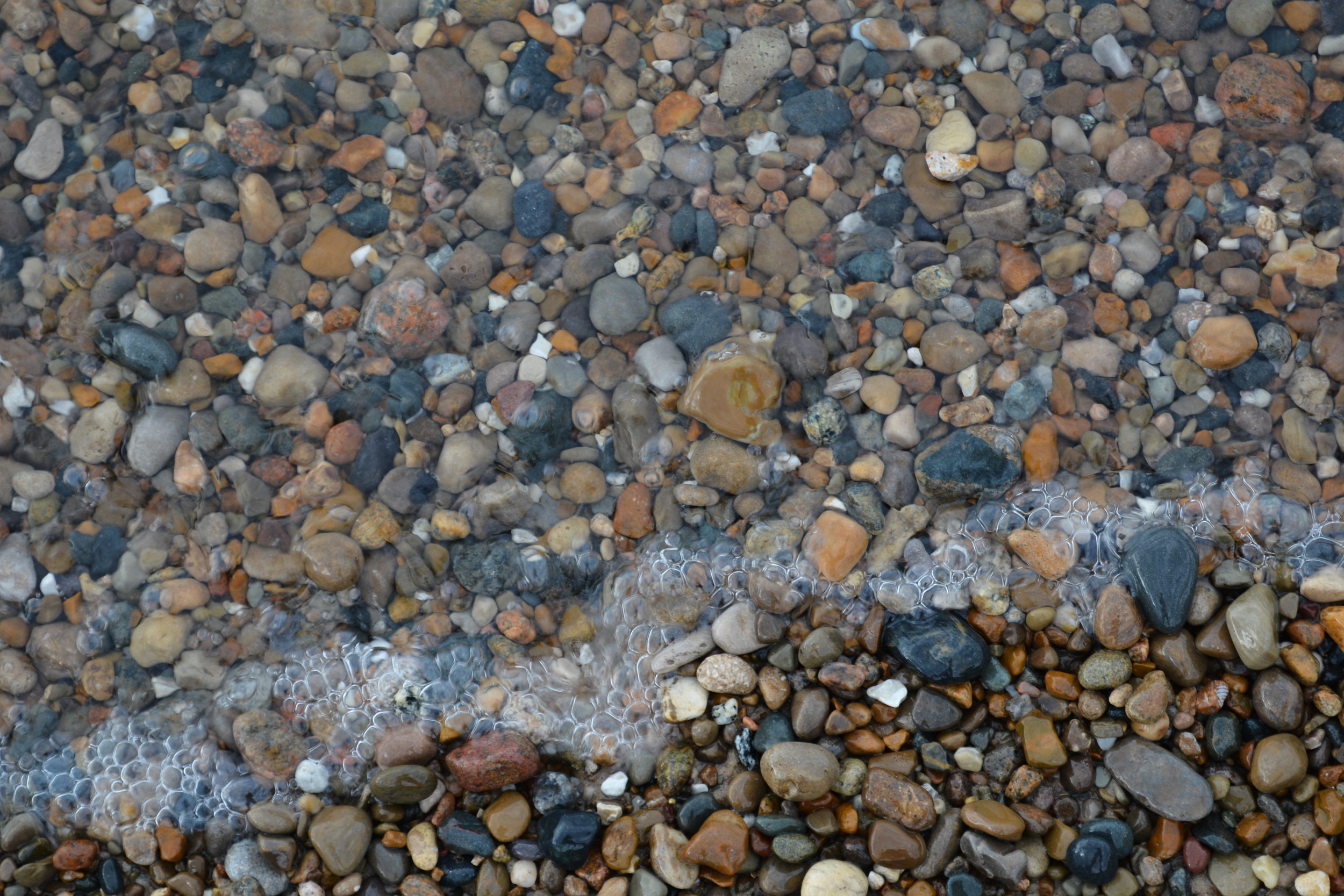 DSC_0321.jpg