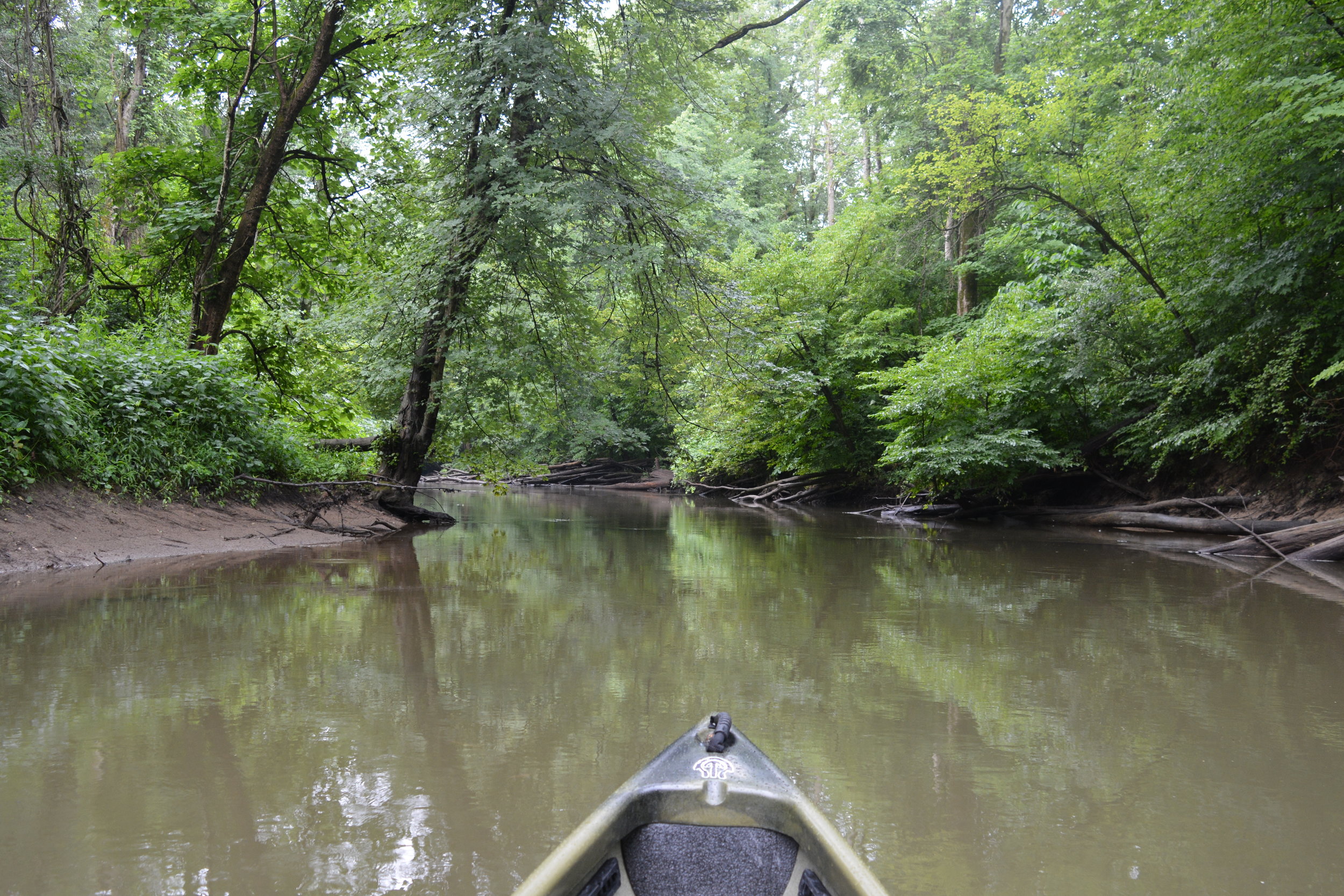 DSC_9866.jpg